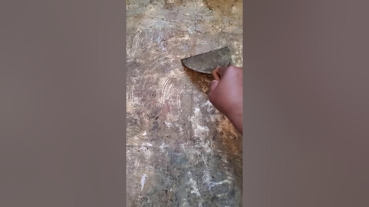 The BEST Tile Adhesive Remover! YouTube