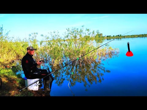 Видео: МАЙСКИЙ ПОПЛАВОК!!! Мне сказали делать на реке нечего, вода прибывает!!! НООО Я в СВОЁМ РЕПЕРТУАРЕ!