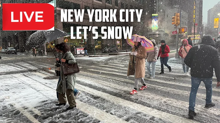 New York City: Snow Sunday Central Park | Christmas Holiday Manhattan Times Square Live