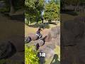5歳児が毎日やっているジャンプ遊びがマジでヤバい