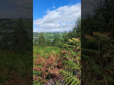 Eastburn- West Yorkshire England | Song I am alive Celine Dion | Nature #nature #ytshorts  #iamalive