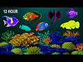 Música Para Dormir Bebés ♥ Baby Sleep Music ♫ Lullaby for Babies to Go to Sleep Fast #187