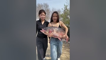 Schildpadnet in H2O spreiden😰