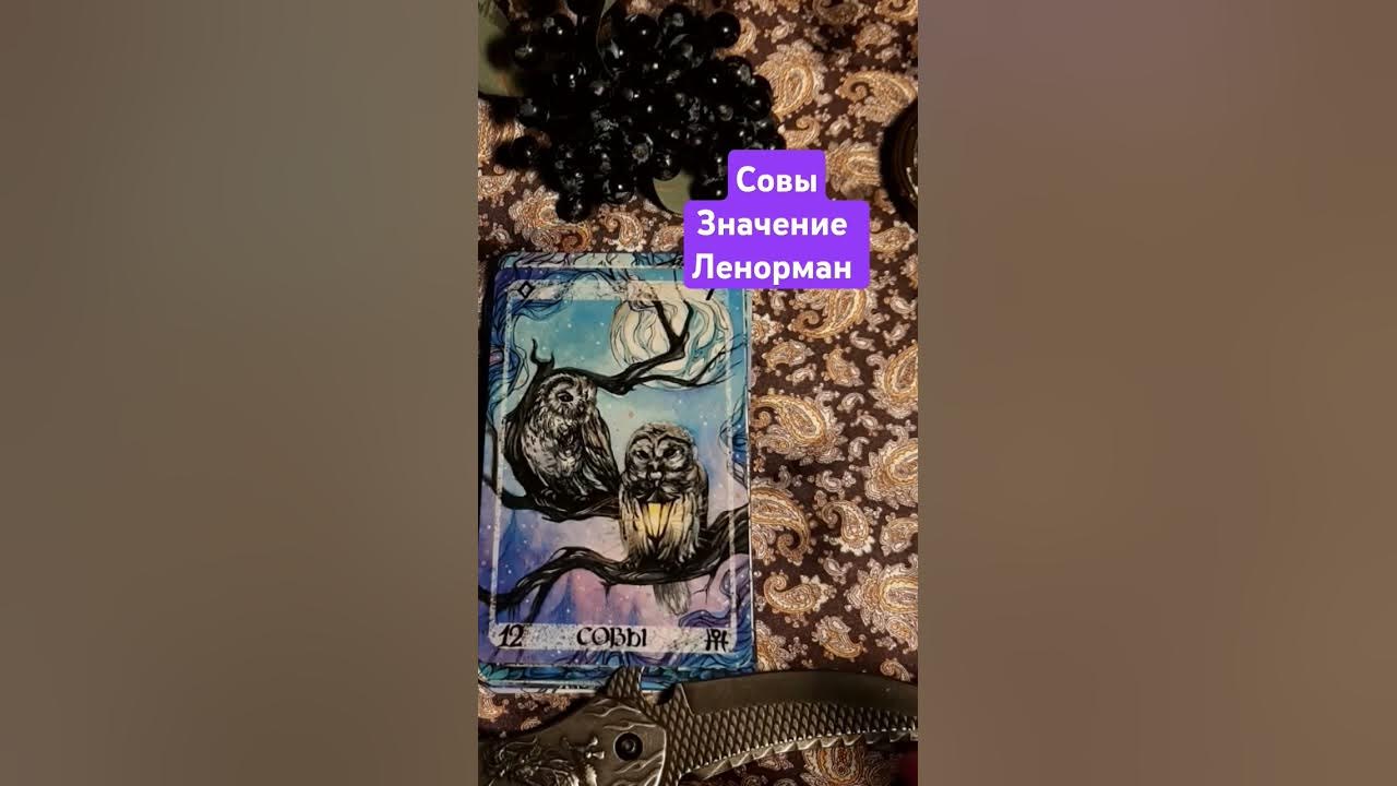 Совы Птицы Ленорман Значение карт трактовка #таро #ленорманобучение # ...