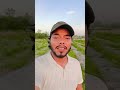 मेरा हाल बुरा है #music #movie #viralvideo