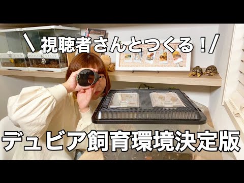 閲覧注意 ゴキブリ10万匹飼育する女が最強ゴキハウスつくってみた Youtube 閲覧注意 ゴキブリ10万匹飼育する女が最強ゴキハウスつくってみた Youtube