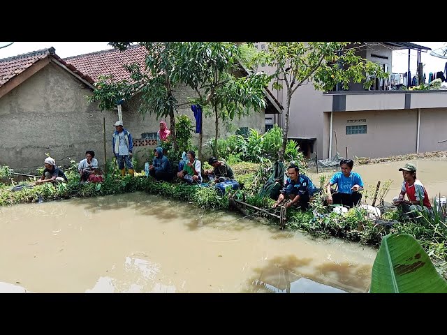 PANTAS REBUTAN BORONG KOLAM INI, TERNYATA IKAN GURAME NYA BABON BABON😍 class=