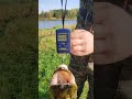 Щука на 7 килограмм. #shortvideo #рыбалка #fishing #рыбалка #природа #2023