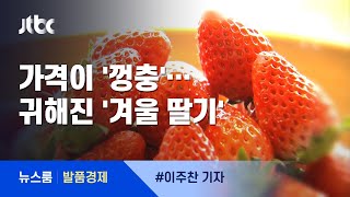 [발품경제] 벌써 겨울 딸기?…'딸기 한류'에 값은 45%↑ / JTBC 뉴스룸