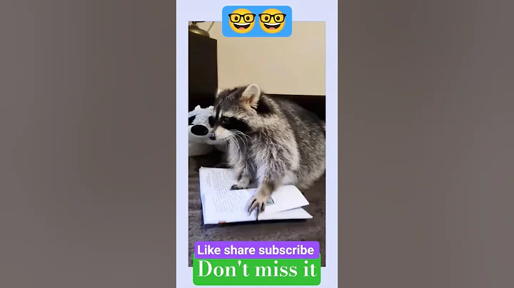 #comedy #funny #animal #pets #laugh #shorts #trending #reels #edit #viral #cat #dog #new #fun #love