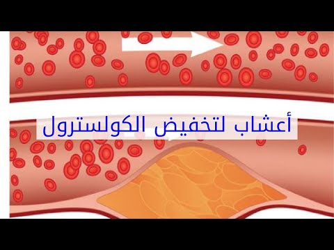 فيديو: أعشاب من التفاح في أوعية