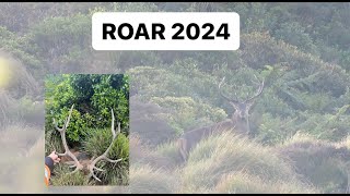 ROAR 2024 S8 EP6 | TARARUAS