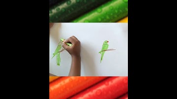 Step by step drawing with number 2 - Parrot 🦜 #drawing #easy #kids #simple #art #momandkid