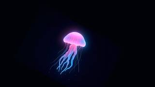 Jellyfish light effect black screen video | Glowing jellyfish black screen 4K screenshot 4