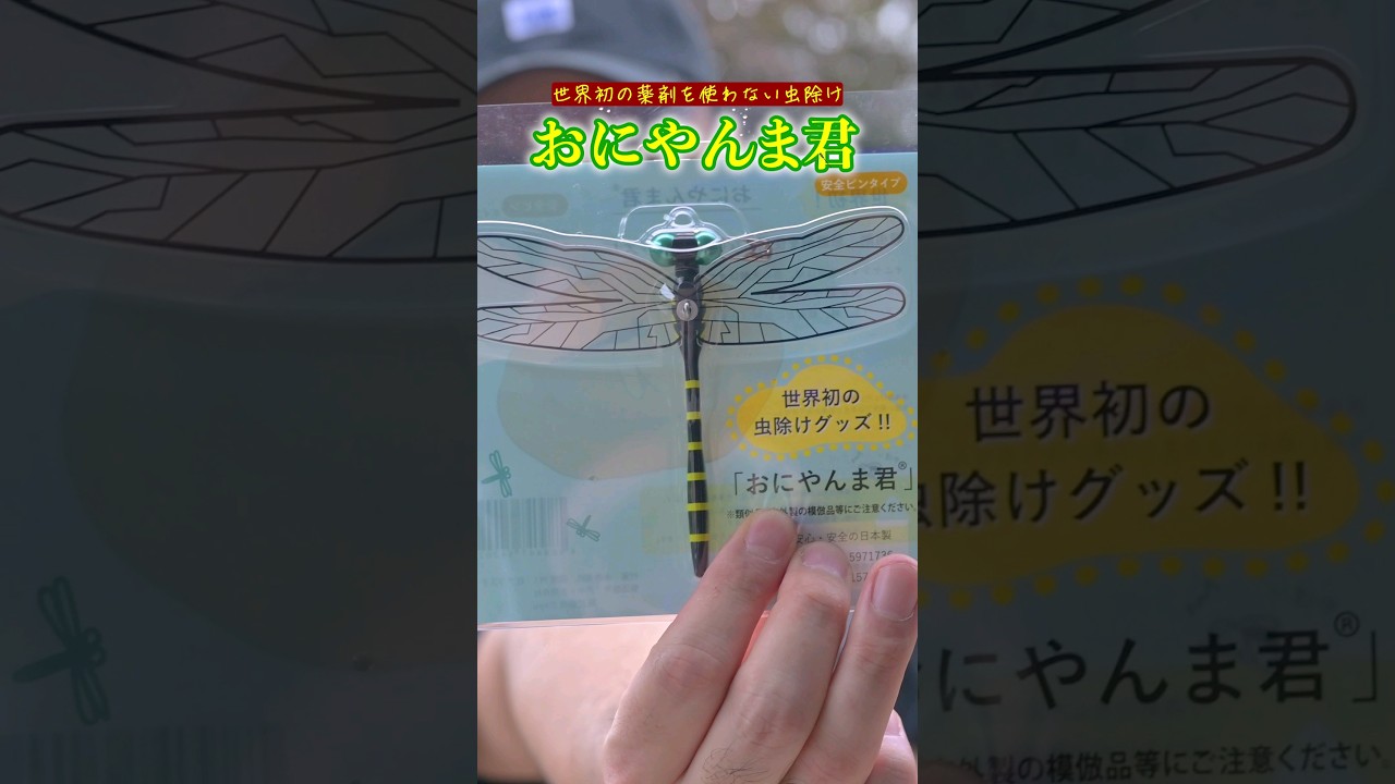 おにやんま君を付けて虫の大群に突っ込んでみた #shorts