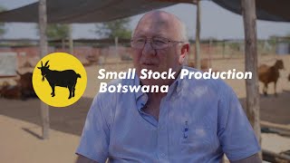 Small Stock Production Botswana   Gold Star Goat Stud Sample scene 1