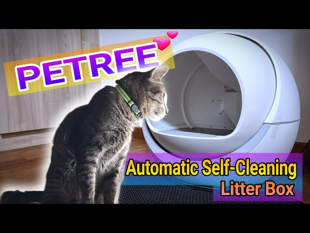 battery operated heated water bowl for cats Heated Water Bowl for Dog, Cat & Small Pets  74.4oz Thermal Dish  Furzima  Pets
