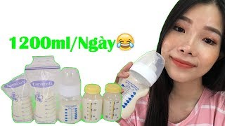 VLOG NHẬT KÝ SỮA MẸ TỪ 2 GIỌT ĐẾN 1200ml