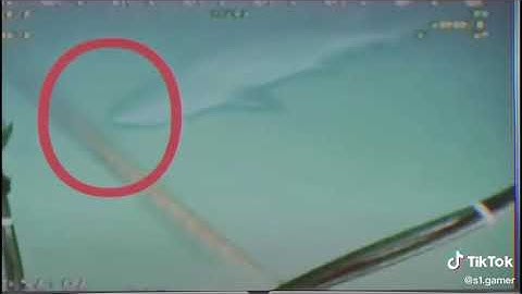 Cá mập cắn cáp