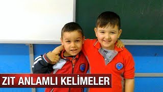 Zıt Anlamlı Kelimeler 1. Sınıf