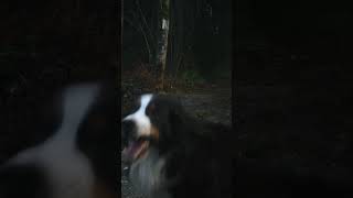 Benson Making A Lot Of Noise