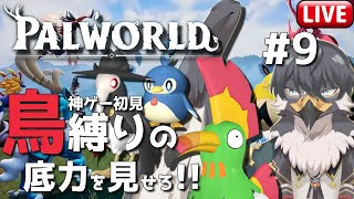 【Palworld | パルワールド】鳥パル縛りで雪山踏破！ボスもたおすしそろそろ終わり見える！？#9【Vtuber | 初見歓迎】