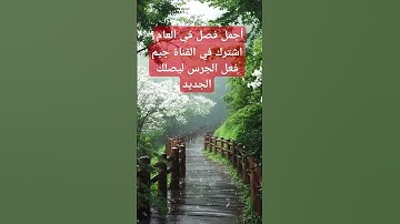 #تلاوة_خاشعة #الحرم_المكي #السعودية #ياسر_الدوسري #قرآن_كريم #اكسبلور #دويتو #foryou #تيك_توك #duet