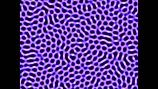 Gierer-Meinhardt model (Hexagonal Pattern).wmv