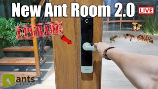 Tour Of My New Ant Room 2.0 | Ant House In Antopia