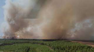 Gironde :  en vol avec les pilotes de bombardiers d'eau