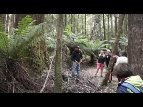 Video: Hur Britterna Utrotade Ursprungsbefolkningen I Tasmanien - Alternativ Vy