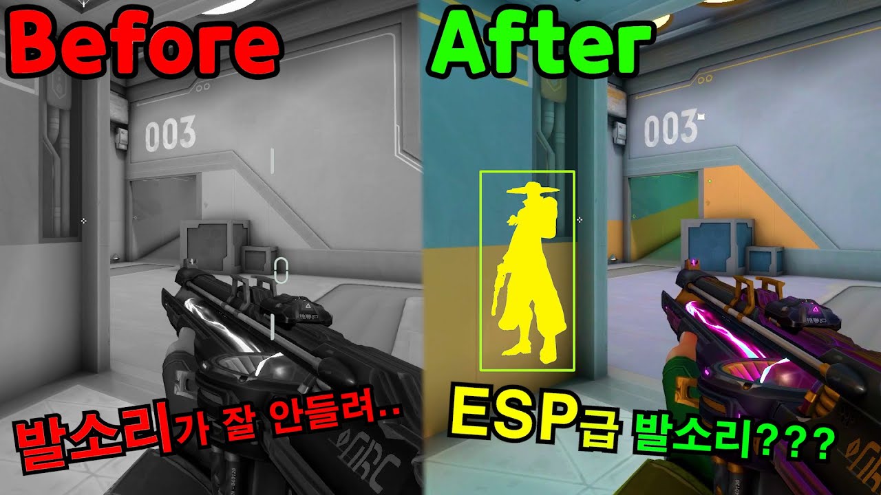 발로란트 합법 ESP 알아냈습니다..