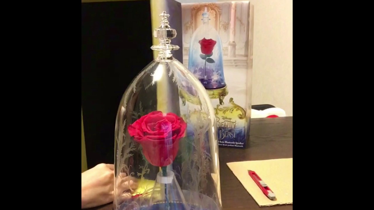 Beauty and the Beast speaker unboxing review