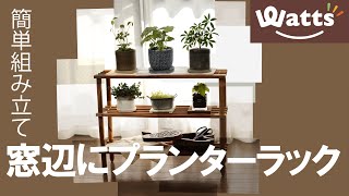 【100均】お手軽プランターラックで窓辺に彩り⭐︎機能的にプチDIY⭐︎ベランダ窓ぎわ多目的棚《Watts》