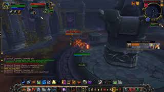 Low Feral Spirit Damage