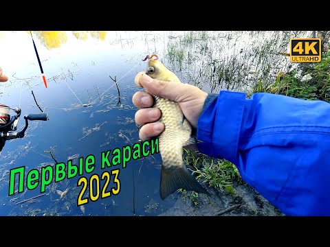 Первые караси 2023 года. Рыбалка на поплавок