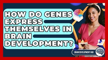 How Do Genes Express Themselves In Brain Development? - Brain Development Hub