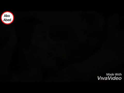 تامر عاشور ااااه واضحة خلصانة الحكاية حياة و مراد