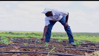 Kenya Red Cross Disaster Risk Reduction & Management Highlight Video