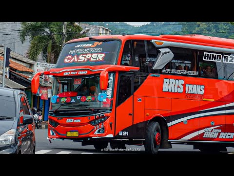 KUMPULAN VIDEO TELOLET ULAR VIRAL🐍||TELOLET INDIA||BUS NAFIT TRANS||AZKA WIJAYA TRANS