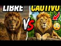 SUPERVIVENCIA LIBERTAD VS CAUTIVERIO #viral #reels