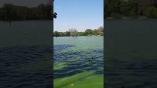 District Park Hauz Khas New Delhi #nature #naturephotography #delhi #tourism #tour