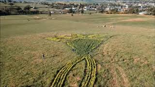 Harden Kite Festival October 12Th 2019 Ld