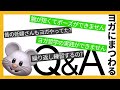 【ヨガQ&A】～第一弾～Instagramでヨガにまつわる質問なんでも受け付けてみました。