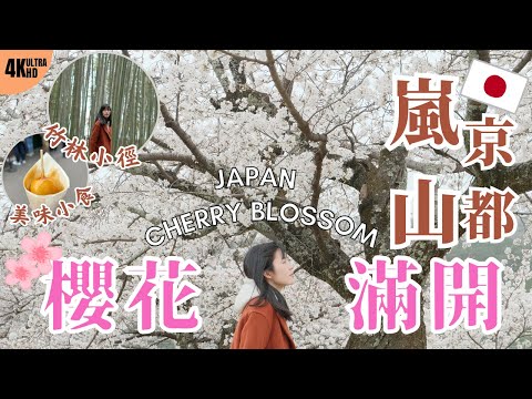 【日本櫻花2023】京都嵐山櫻花🌸滿開｜渡月橋｜竹林小徑｜同場加映：神戶賞櫻景點推薦｜日本關西賞櫻勝地分享｜左撇子夫妻日常｜LHCouple #日本4K旅遊vlog