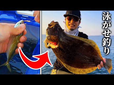 【釣り】アジの泳がせ釣り最強！！