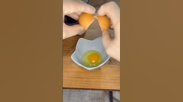 Take A Look The Fertilized Chicken Egg Under A Microscope |  - MicroQuest #shorts #microscope