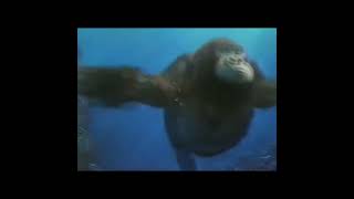 Donkey Kong Country Advance Commercial #shorts