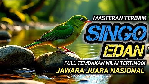 MASTERAN TERBAIK SINGO EDAN FULL TEMBAKAN !! TERAPI UNTUK SEMUA JENIS BURUNG, SUARA GEMRICIK AIR