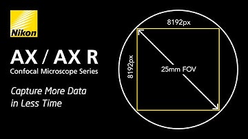 See More of the Specimen with Large Field Of View | AX / AX R Confocal Microscope Series